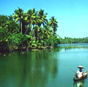 cochin tour , tourism in cochin