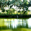 tourism in kerala, backwater in kerala , beaches in kerala