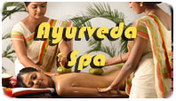 Ayurveda and spa tour india
