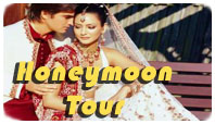 Honeymoon tour in india